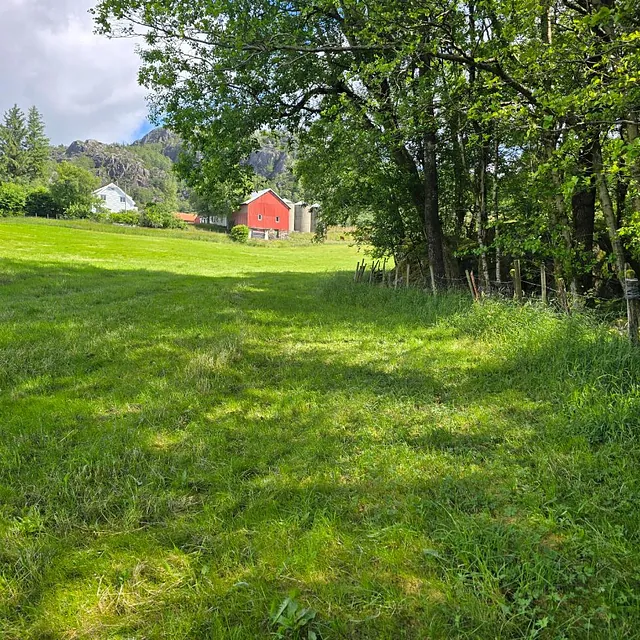 Landbrukseiendom i Bjerkreim med terreng for planlegging av avløpsløsning